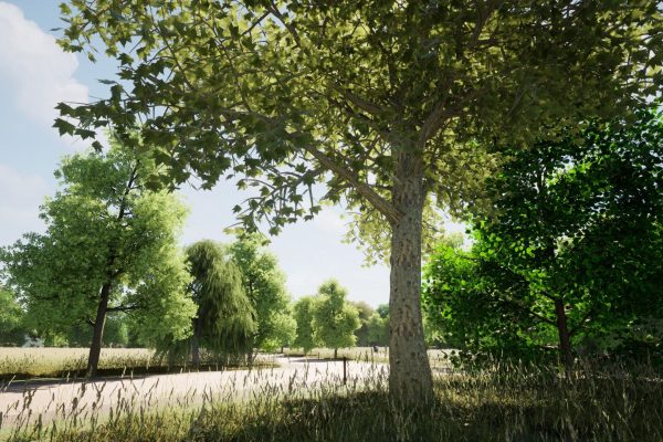 Presentación de PowerPoint